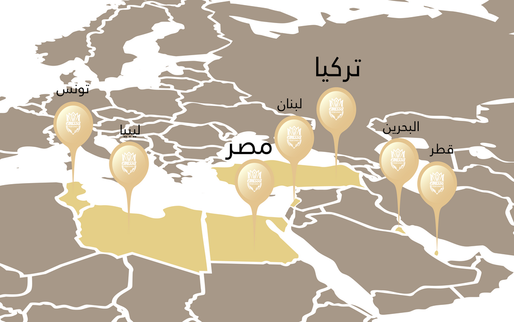 Find Us | Branches